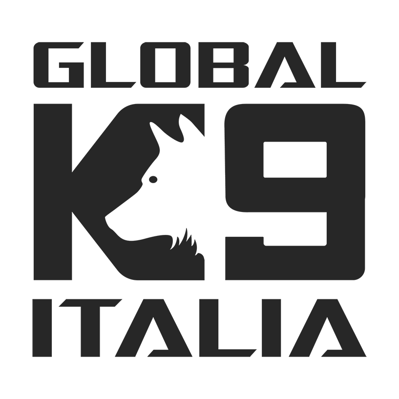 logo k9 square